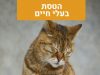 הטסת בעלי חיים 10 הטסת בעלי חיים - מרפאה וטרינרית פרישמן דיזינגוף