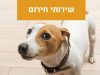 שירותי חירום 6 שירותי חירום מרפאה וטרינרית פרישמן דיזינגוף