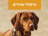 טיפולי שיניים 3 טיפולי שיניים לכלבים מרפאה וטרינרית פרישמן דיזינגוף
