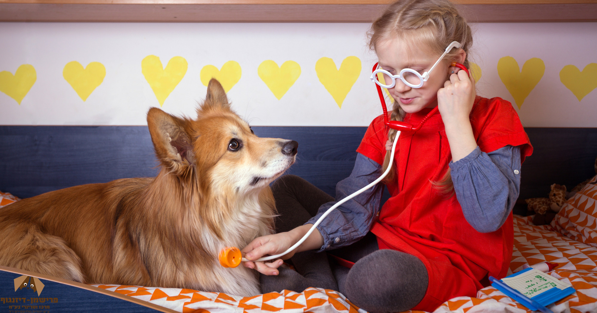 וטרינר בתל אביב - טיפול בכלבים מתבגרים 3 וטרינר תורן תל אביב - החורף הגיע!