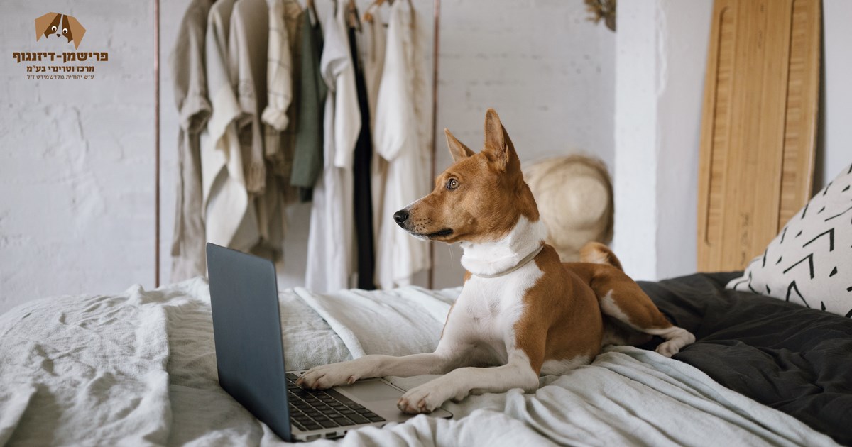 האם כדאי לעשות מנוי לוטרינר? 7 חיסון תולעת הפארק כל כמה זמן