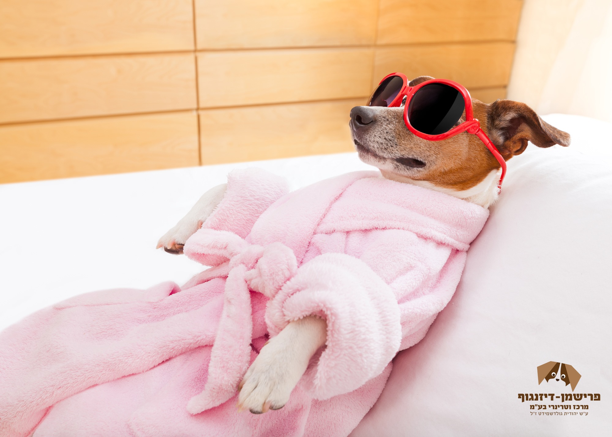 צחצוח יומי עם מברשת שיניים לכלבים חוסך עוגמת נפש 10 וטרינרים בתל אביב