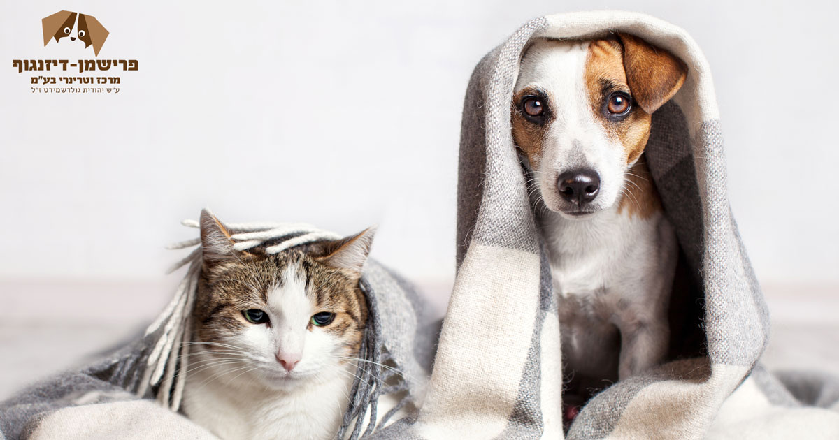 וטרינר עד הבית זה לא פינוק 1 וטרינר חירום בתל אביב