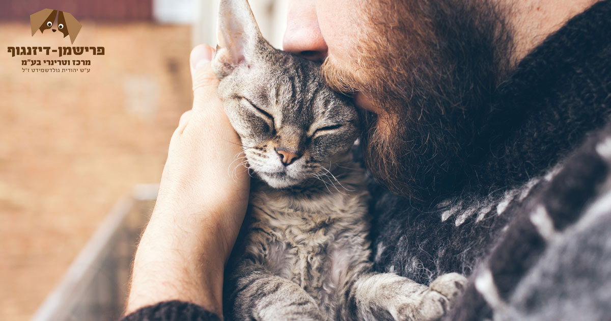 וטרינר תורן תל אביב - להקדים רפואה למכה! 3 סירוס חתול